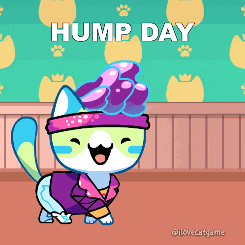 Happy Wednesday Hump Day GIF