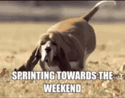 Happy Weekend GIF