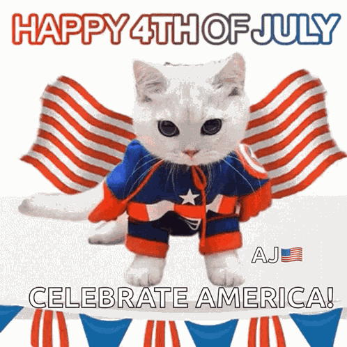 Happy4thjuly America Cat GIF