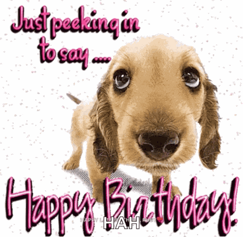 Happybirthday Dog GIF