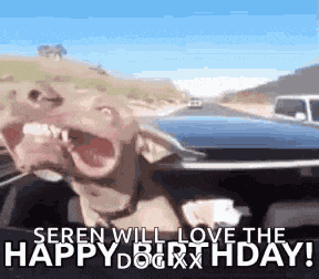 Happybirthday Dog GIF