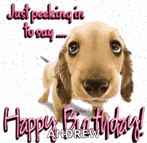 Happybirthday Dog GIF