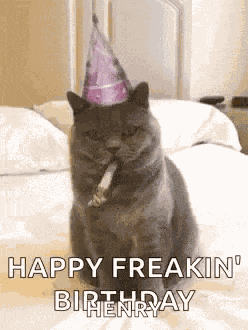 Happybirthday Funnyanimals GIF