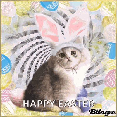 Happyeaster Cat GIF