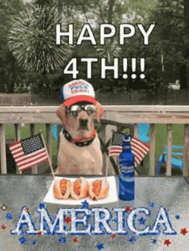 Happyfourthofjuly July4th GIF