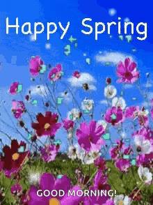 Happyspring Springisintheair GIF