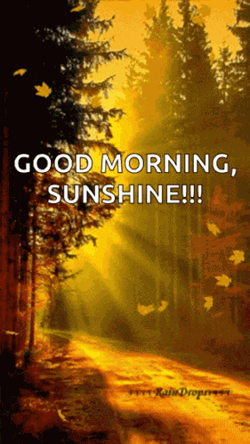 Happythanksgiving Thanksgivingweekiscoming GIF