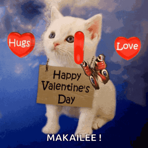 Happyvalentines Valentinesdaykitten GIF