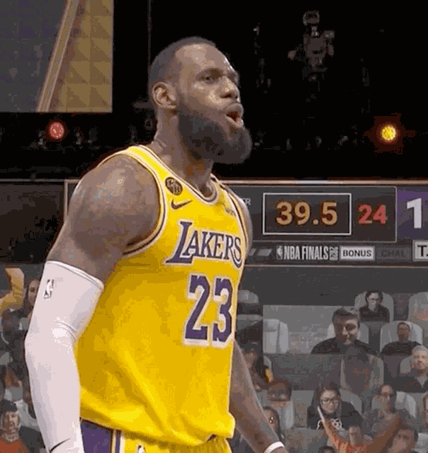 Haris Lebron James GIF