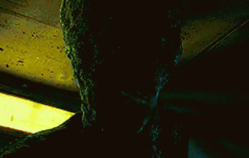 Harry Harry Potter GIF