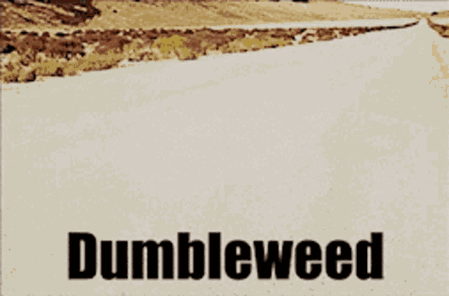 Harry Potter Dumbledore GIF