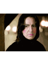 Harry Potter Sticker