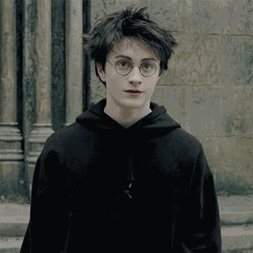 Harry Potter Handsome GIF