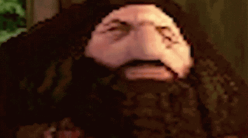 Harry Potter Ps1hagrid GIF