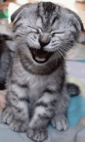 Harsh Brutal GIF