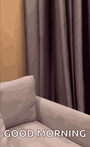 Hasbulla Hasbi GIF