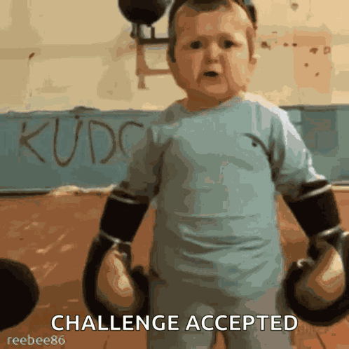 Hasbulla Hasbik GIF