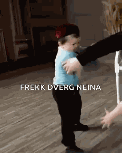 Hasbulla Kick GIF