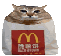 Hashcat Mcdonalds Sticker