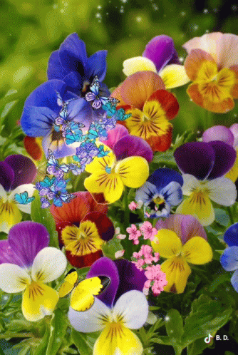 Have A Beautiful Day Flowers GIF