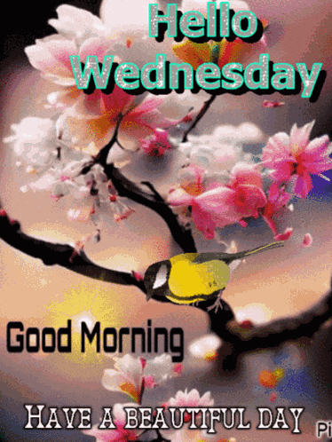 Have A Beautiful Day Wednesday Morning GIF