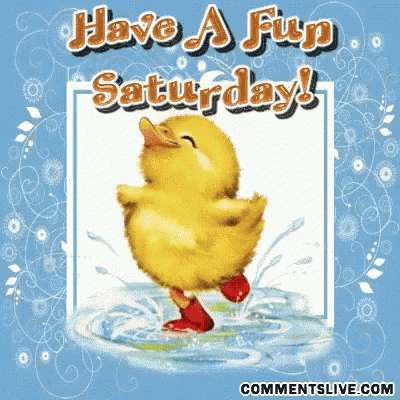 Have A Fun Saturday GIF