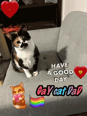 Have A Good Day Good Morning Have A Nice Day GIF