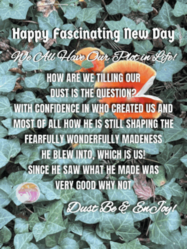 Have A Good Day Quotes Happy New Day Meme