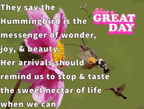 Have A Great Day GIF