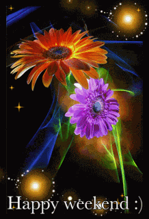 Have A Great Day GIF