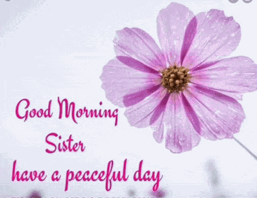 Have A Great Day Meme