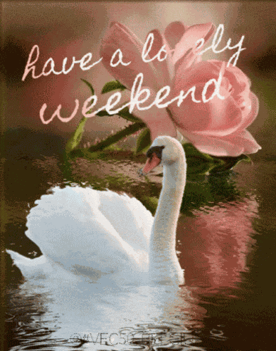 Have A Lovely Weekend GIF