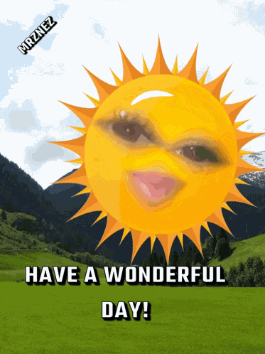 Have A Wonderful Day Good Morning GIF