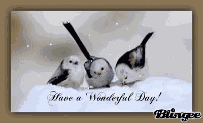 Have A Wonderful Day GIF