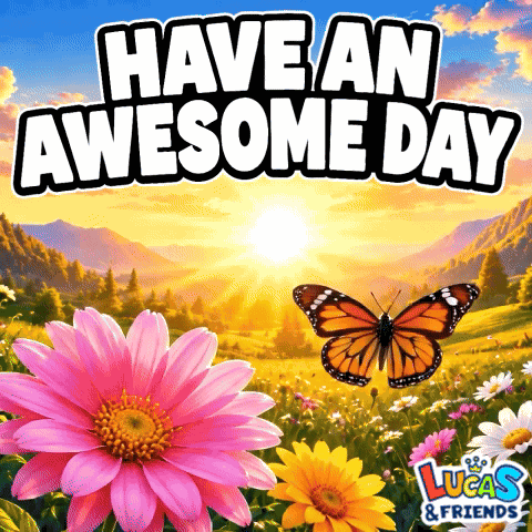 Have An Awesome Day Sunrise GIF