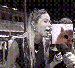 Hawk Tuah Jamcat GIF