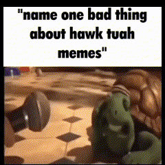 Hawk Tuah Name One Bad Thing GIF