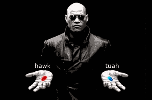 Hawk Tuah The Matrix Meme