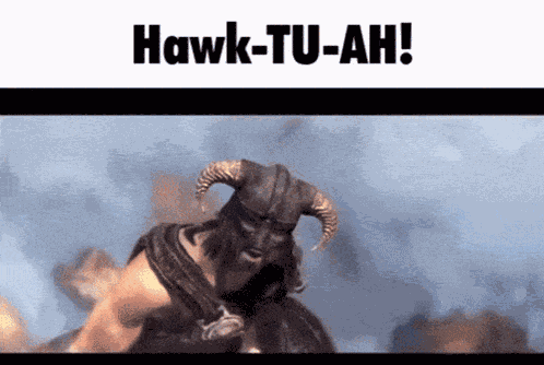 Hawktuah Skyrim GIF