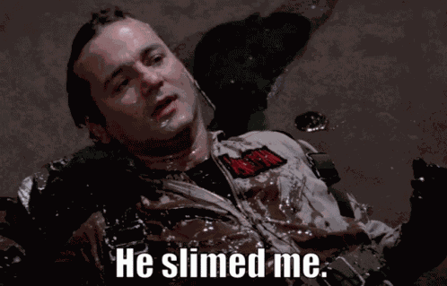He Slimed Me Bill Murray GIF