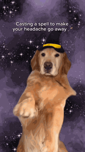 Headache Dog Get Well Soon Dog GIF