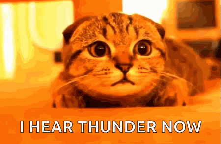 Hear Listen GIF
