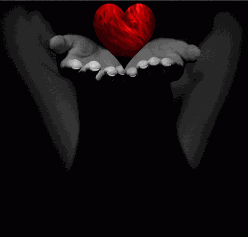 Heart Love GIF