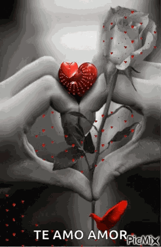 Heart Love GIF