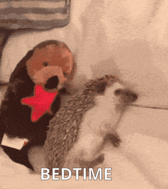 Hedgehog Bedtime GIF