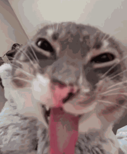 Hehe GIF