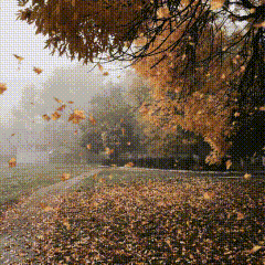 Hello Autumn GIF