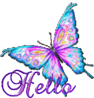 Hello Butterfly Sticker