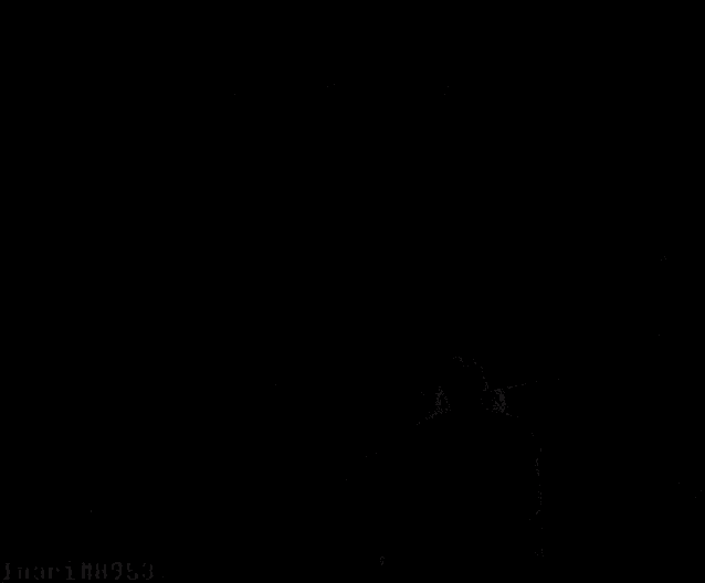 Hello Chat Hi Chat GIF