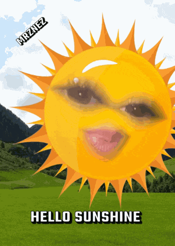 Hello Hello There GIF